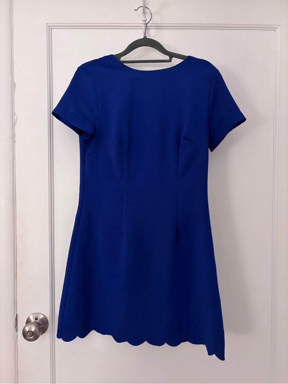 dee elle Scallop-Hem Short Sleeve Dress - Cobalt Blue